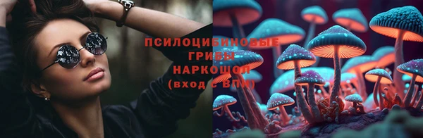 молекула духа Покровск