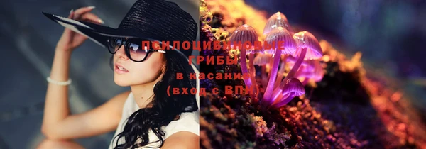 молекула духа Покровск