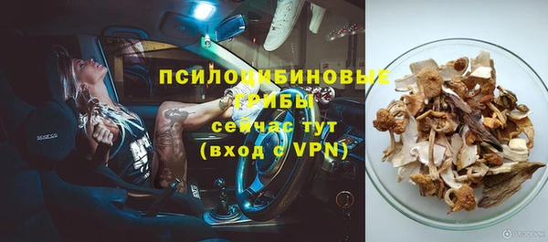 тгк Переславль-Залесский