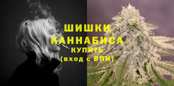 стаф Рославль