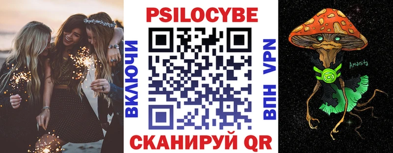 Купить где  Зима  Галлюциногенные грибы Cubensis 